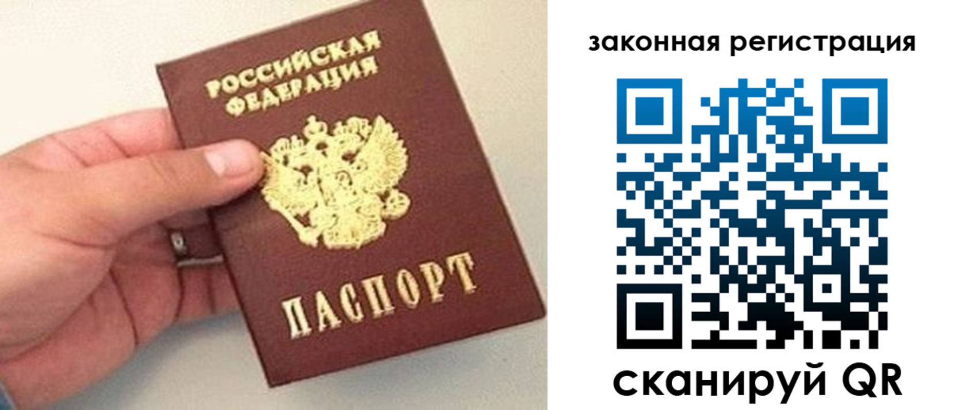 прописка для школы в Елизово
